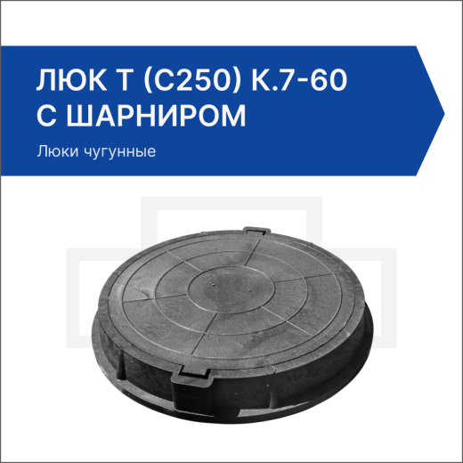 Люк Т (С250) К.7-60 с шарниром